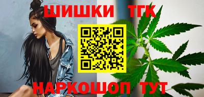 мдпв Кингисепп