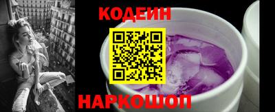 мдпв Кингисепп