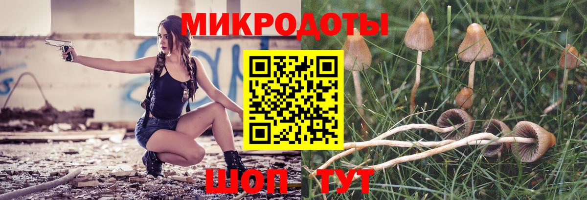 Галлюциногенные грибы прущие грибы Красноуфимск
